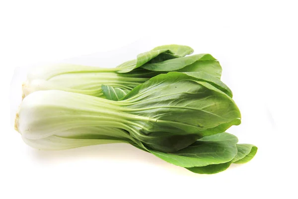 Pac Choi Traditional Chinese Vegetable Isolated White Background — Stock Photo, Image