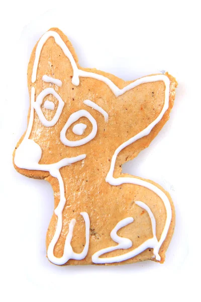 Chihuahua Hund Süße Lebkuchen Für Weihnachten Isoliert — Stockfoto
