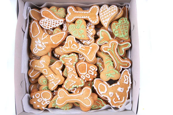 sweet gingerbread for chihuahua dog christmas party isolated