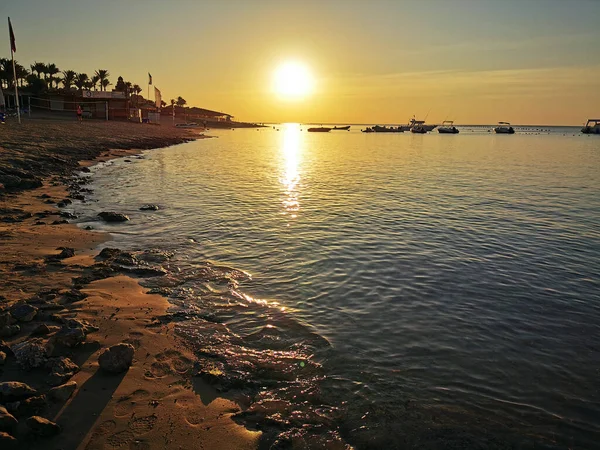 Puesta Sol Egipto Playa Cerca Del Mar Rojo — Foto de Stock