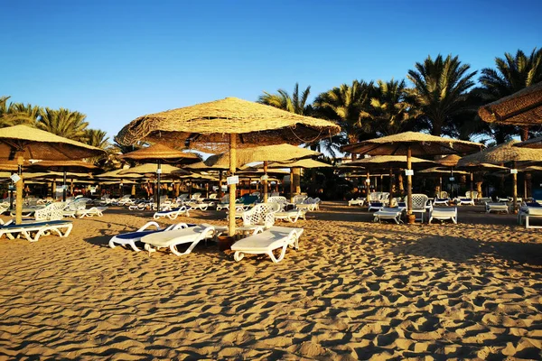 Praia Egito Como Fundo Muito Agradável — Fotografia de Stock