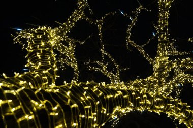 Yılbaşı ışıklarına sahip ağaç çok güzel bir arka plan.