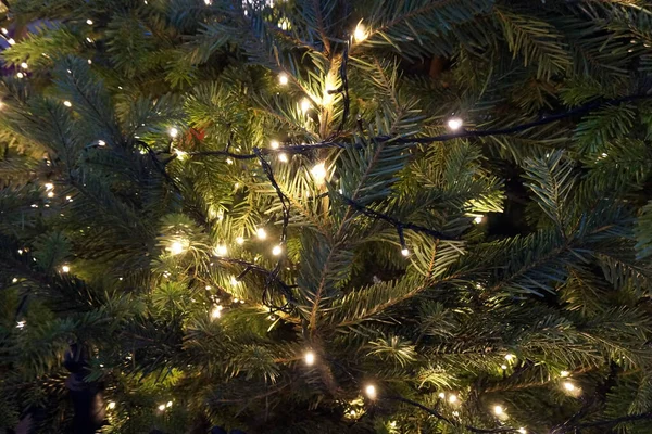 Árbol Con Luces Navidad Como Fondo Muy Bonito —  Fotos de Stock