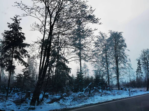 Zimní Cesta Lese Jako Velmi Pěkné Přírodní Zázemí — Stock fotografie