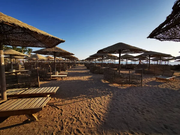 Plage Egypte Comme Très Beau Fond — Photo