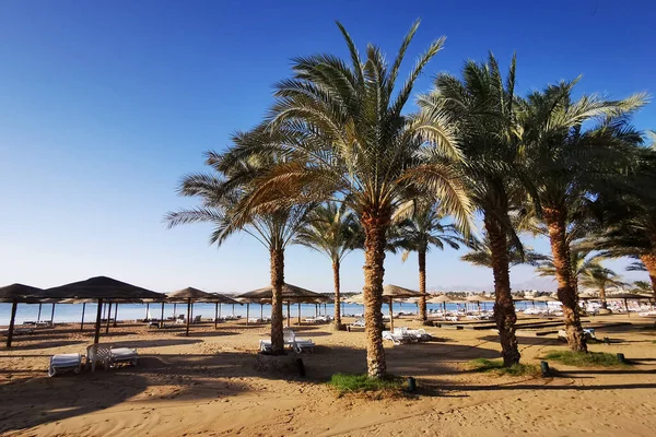 Strand Ägypten Als Sehr Schöner Hintergrund — Stockfoto