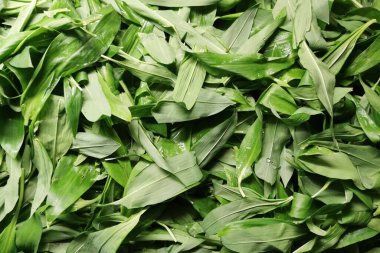 Vahşi sarımsak dokusu çok güzel doğal bir arka plan.