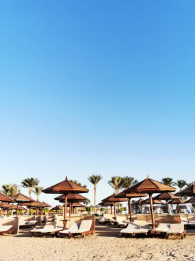 Mısır 'daki plaj çok güzel bir arka plan.