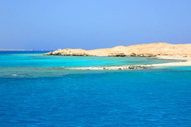 Mısır red Sea'deki/daki deniz tekneden görüntülemek