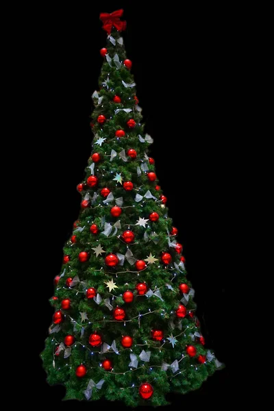 Kerstboom Geïsoleerd Zwarte Achtergrond — Stockfoto