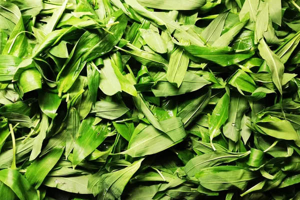 Wild Garlic Texture Very Nice Natural Background — Stock Photo, Image