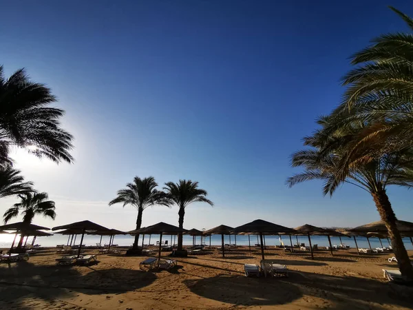 Пляж Египте Хороший Фон — стоковое фото