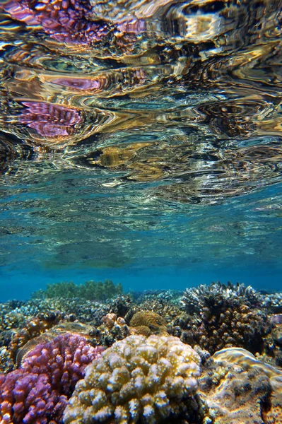 Strand Egypt Som Mycket Trevlig Bakgrund — Stockfoto