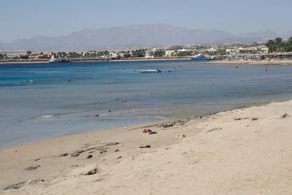 Playa Egipto Como Fondo Muy Bonito —  Fotos de Stock