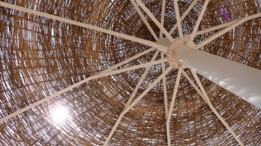 Doğal şemsiye dokusu çok güzel bir arka plan.