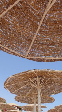 Doğal şemsiye dokusu çok güzel bir arka plan.