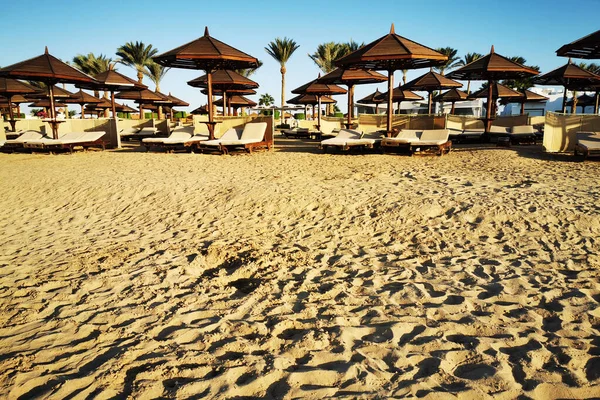 Plage Egypte Comme Très Beau Fond — Photo