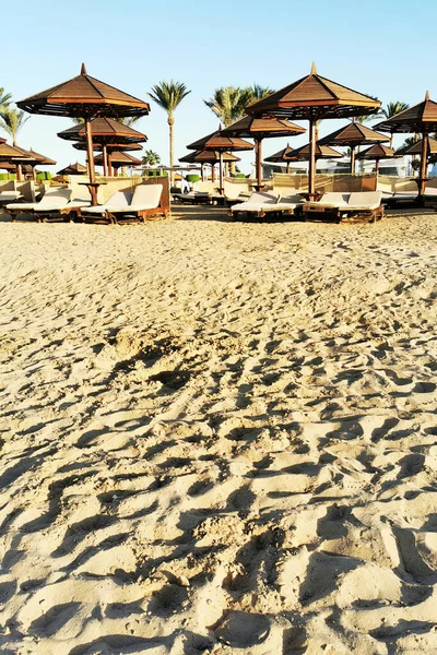 Пляж Єгипті Дуже Гарний Фон — стокове фото