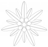 Edelweiß Blume Symbol Alpinismus Logo Vektor eps 10