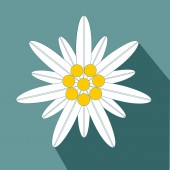 Edelweiß Blume Symbol Alpinismus flaches Design Symbol Vektor eps 10