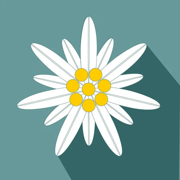 Edelweiss Bloem Symbool Alpinisme Platte Ontwerp Pictogram Vector Eps — Stockvector