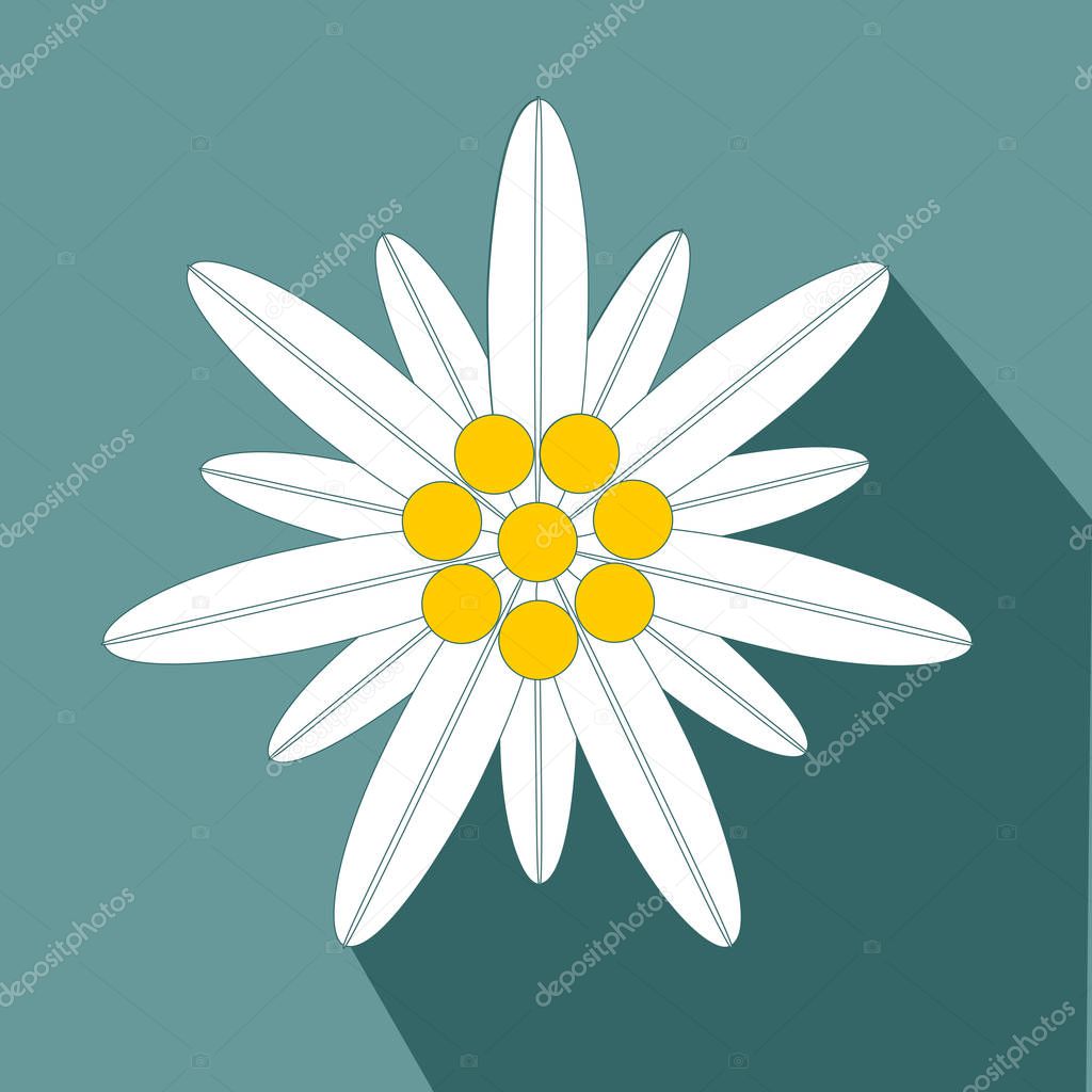 Edelweiss Flower Symbol Alpinism flat design icon Vector eps 10