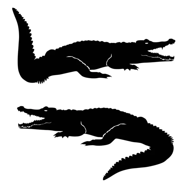 Krokodil Ikon Lapos Rajzos Illusztráció Web Mobil Logo Alkalmazás Grafikai — Stock Vector
