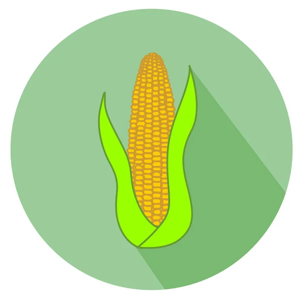 Corn Cob Flat Design Icon Vector Eps — Stock Vector