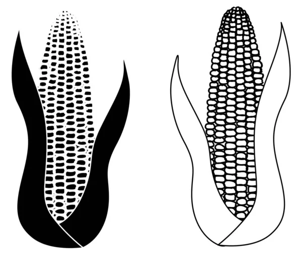 Maiskolben Set Isoliert Auf Weißem Hintergrund Vektor Eps — Stockvektor
