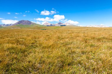 otlak: Xinjiang, China