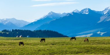 otlak: Xinjiang, China