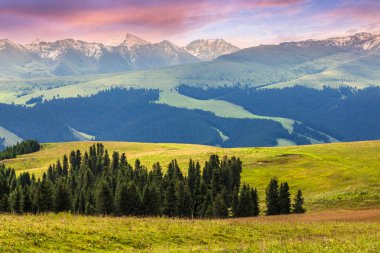 otlak: Xinjiang, China