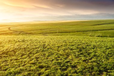 otlak: Xinjiang, China