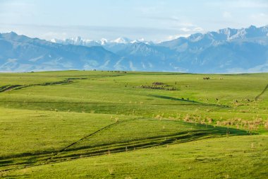 otlak: Xinjiang, China