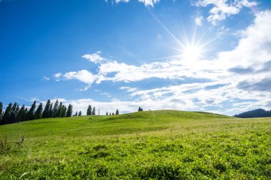 Çin'deki dağda otlak
