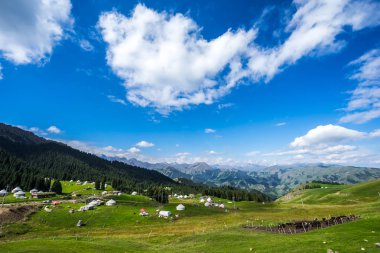Çin'deki dağda otlak