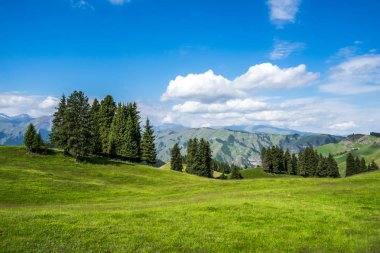 Çin'deki dağda otlak