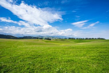Çin'deki dağda otlak