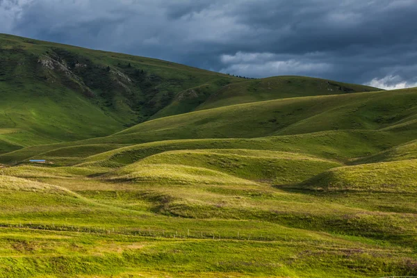 Pascoli Nello Xinjiang Cina — Foto Stock