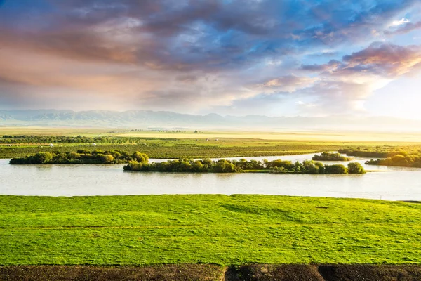 Grassland Xinjiang China — Stock Photo, Image