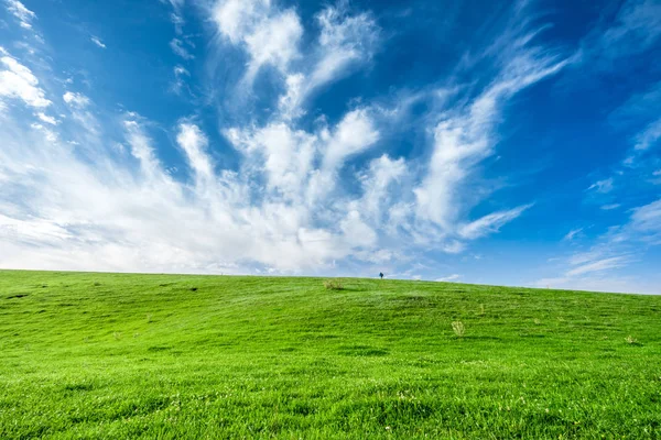 Gräsmark Xinjiang Kina — Stockfoto