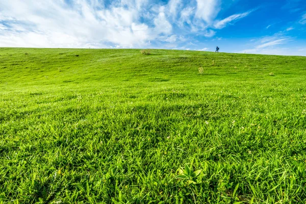 Prairies Xinjiang Chine — Photo