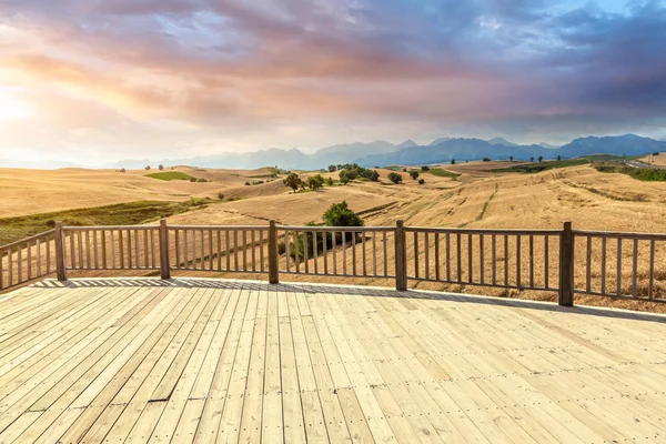 Campo Grano Cina — Foto Stock