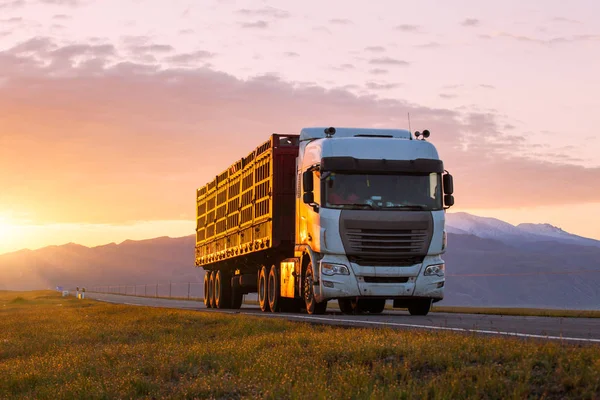 Chauffeur Camion Sur Route Photos De Stock Libres De Droits