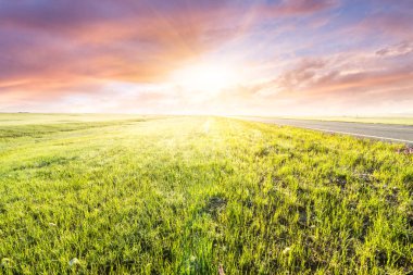 Doğu Türkistan Çin otlak
