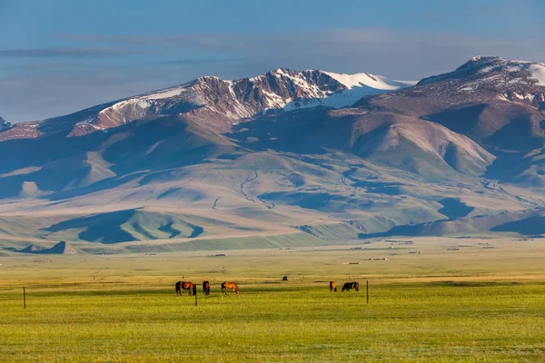 Prados Xinjiang China — Fotografia de Stock