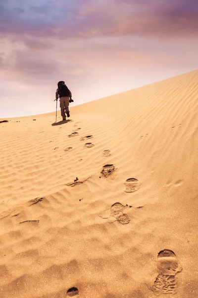 Escursioni Nel Deserto Nello Xinjiang — Foto Stock