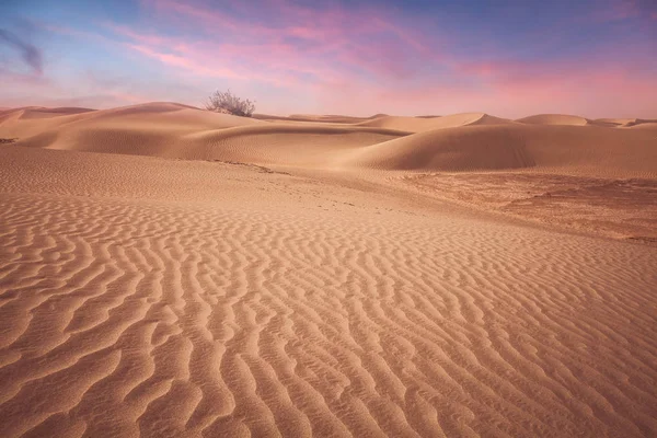 Desert Xinjiang China — Stock Photo, Image