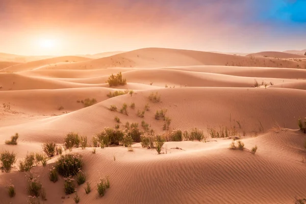 Desierto Xinjiang China — Foto de Stock