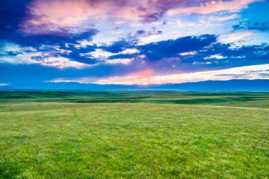 Doğu Türkistan Çin otlak